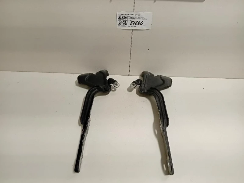 KIT Cerniere Cofano ANT 9542158095421581 SX+DX Opel Mokka 2013