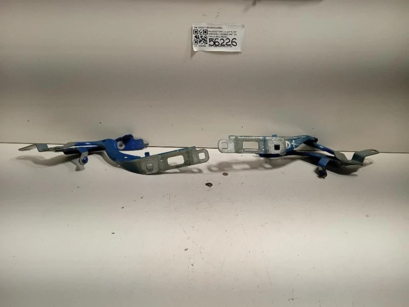 KIT Cerniere Cofano ANT 98232115809823211880 Peugeot 208 II 2019