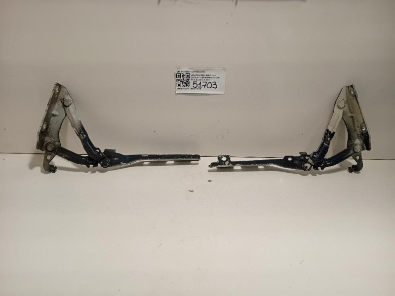 KIT Cerniere Cofano ANT 5K0823301C5K0823302C Volkswagen GOLF VI 2009