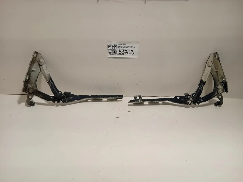 KIT Cerniere Cofano ANT 5K0823301C5K0823302C Volkswagen GOLF VI 2009