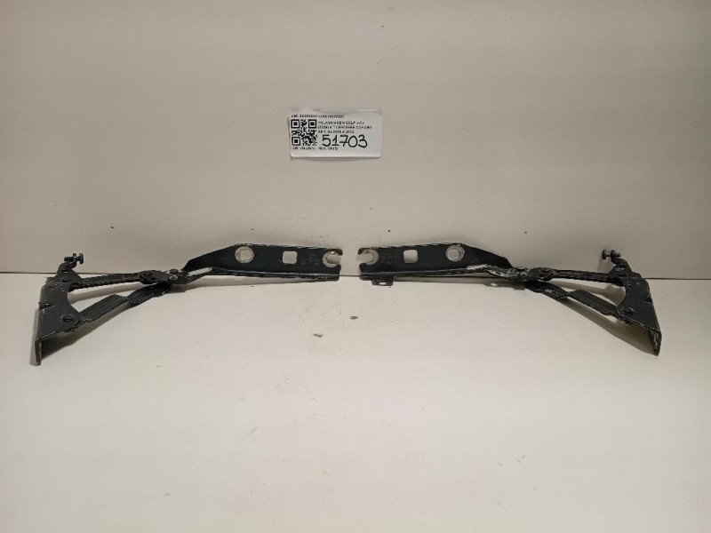 KIT Cerniere Cofano ANT 5K0823301C5K0823302C Volkswagen GOLF VI 2009