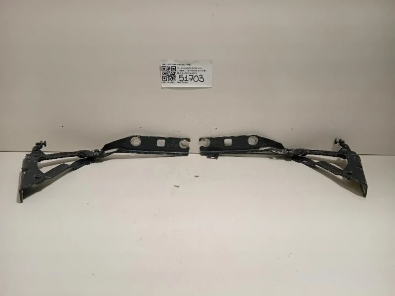 KIT Cerniere Cofano ANT 5K0823301C5K0823302C Volkswagen GOLF VI 2009