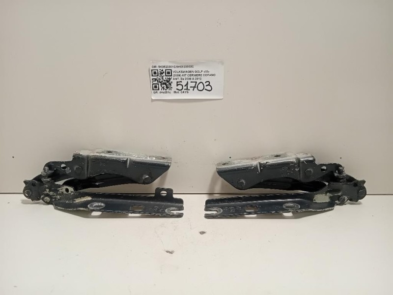 KIT Cerniere Cofano ANT 5K0823301C5K0823302C Volkswagen GOLF VI 2009
