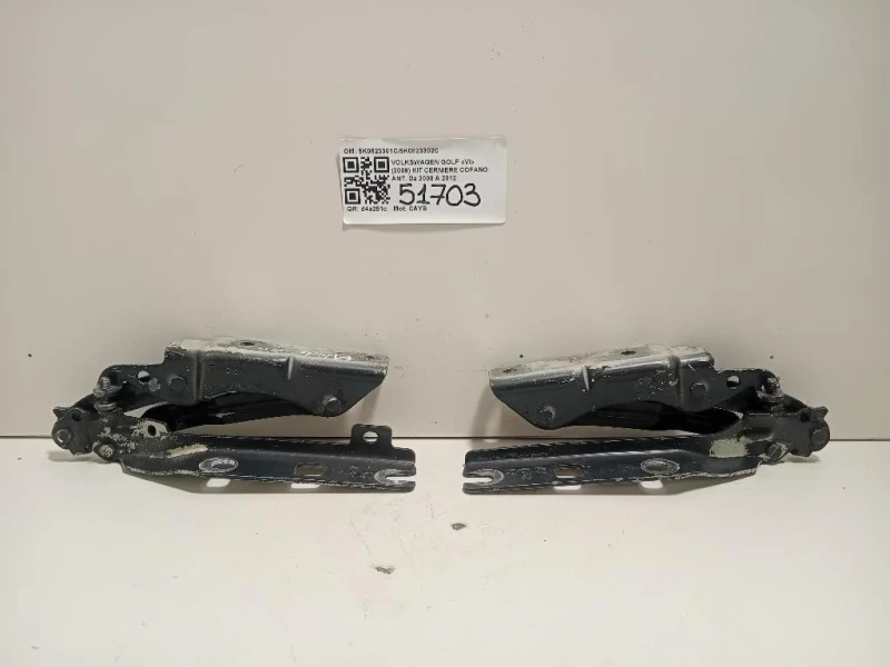 KIT Cerniere Cofano ANT 5K0823301C5K0823302C Volkswagen GOLF VI 2009