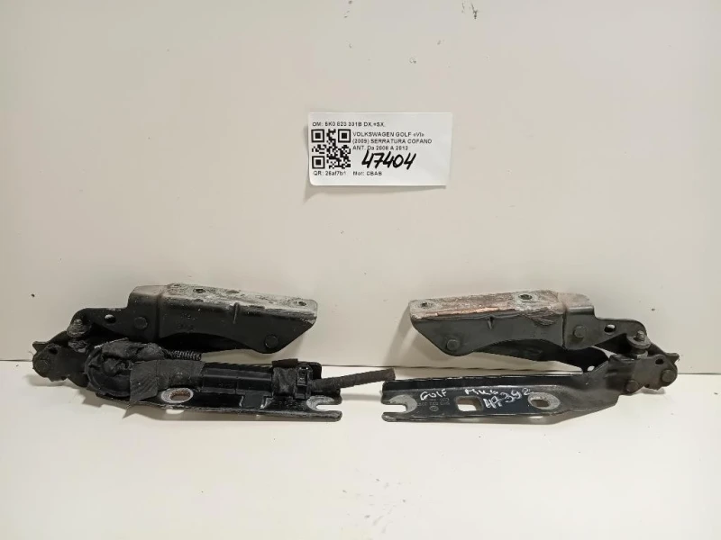 KIT Cerniere Cofano ANT 5K0 823 301B DX+SX Volkswagen GOLF VI 2009