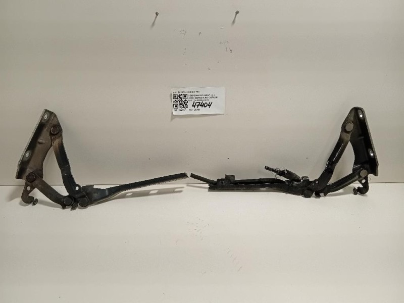 KIT Cerniere Cofano ANT 5K0 823 301B DX+SX Volkswagen GOLF VI 2009