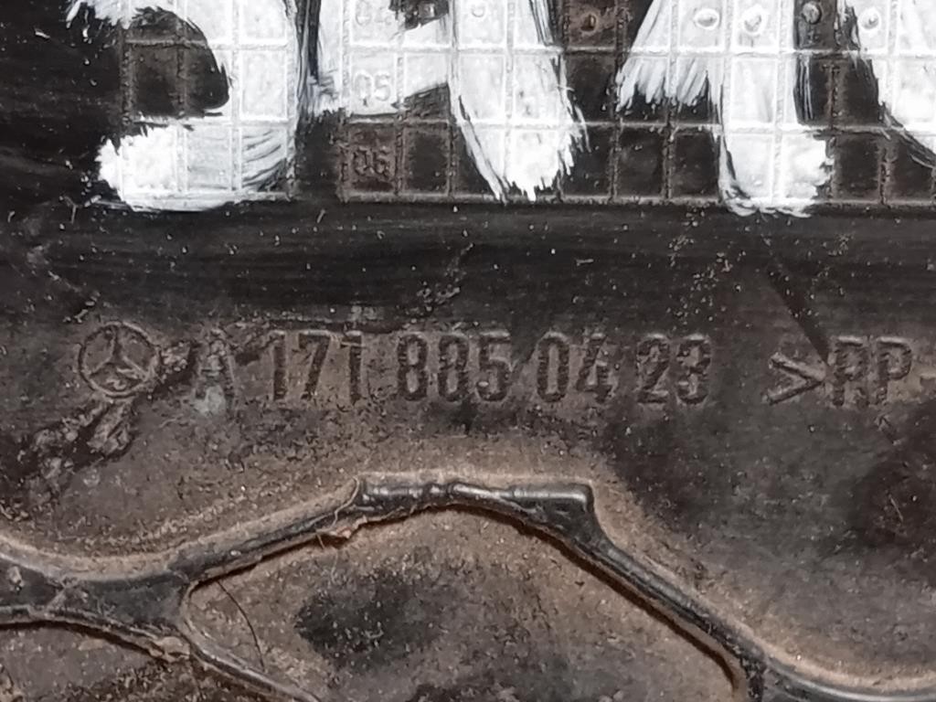 KIT Cornici Fendinebbia ANT A1718850423A1718850323 Mercedes Classe SLK R171 2004