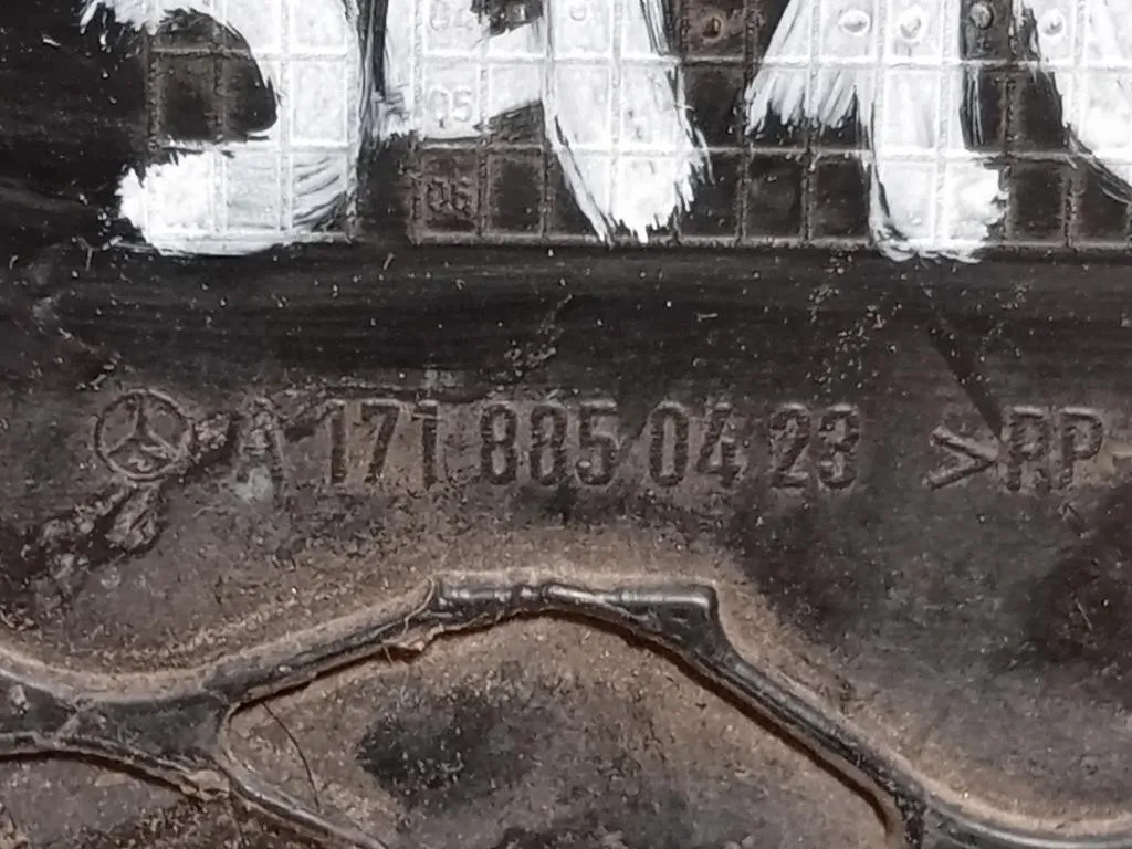 KIT Cornici Fendinebbia ANT A1718850423A1718850323 Mercedes Classe SLK R171 2004