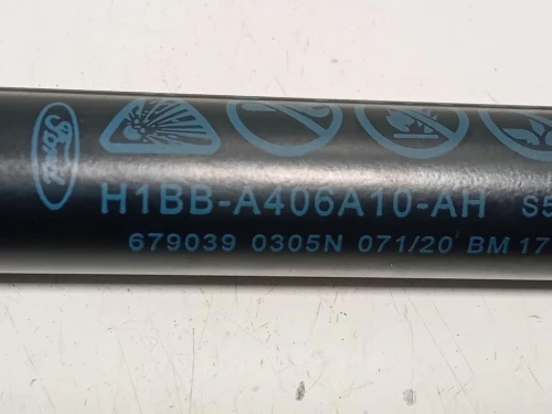 KIT Pistone H1BB-A406A10-AH Ford Fiesta VII 2021