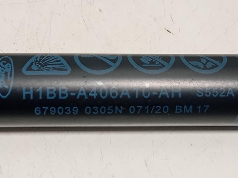 KIT Pistone H1BB-A406A10-AH Ford Fiesta VII 2021