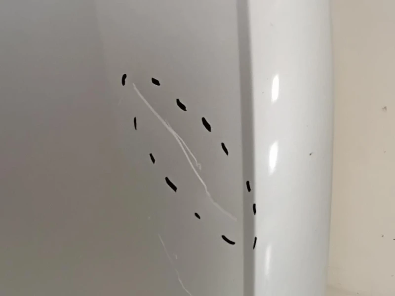 Cofano ANT 8X0823029 Audi A1 8X1 2010