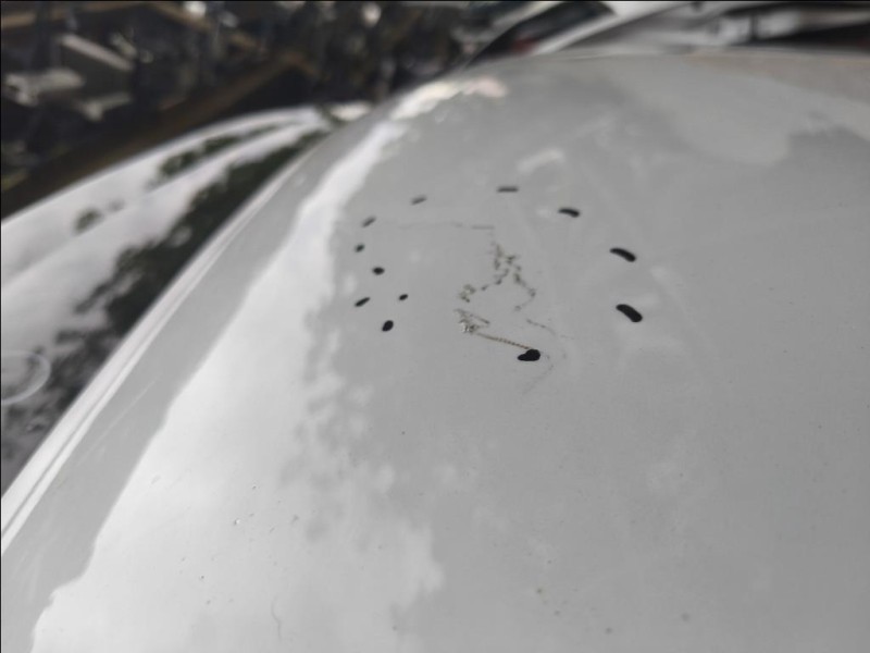 Cofano ANT 8X0823029 Audi A1 8XA Sportback 2012