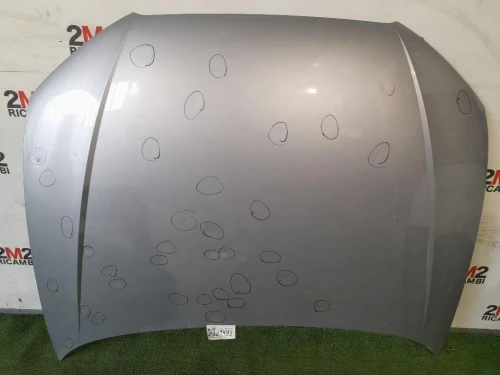 Cofano ANT 8P0823029E Audi A3 8P1 2008