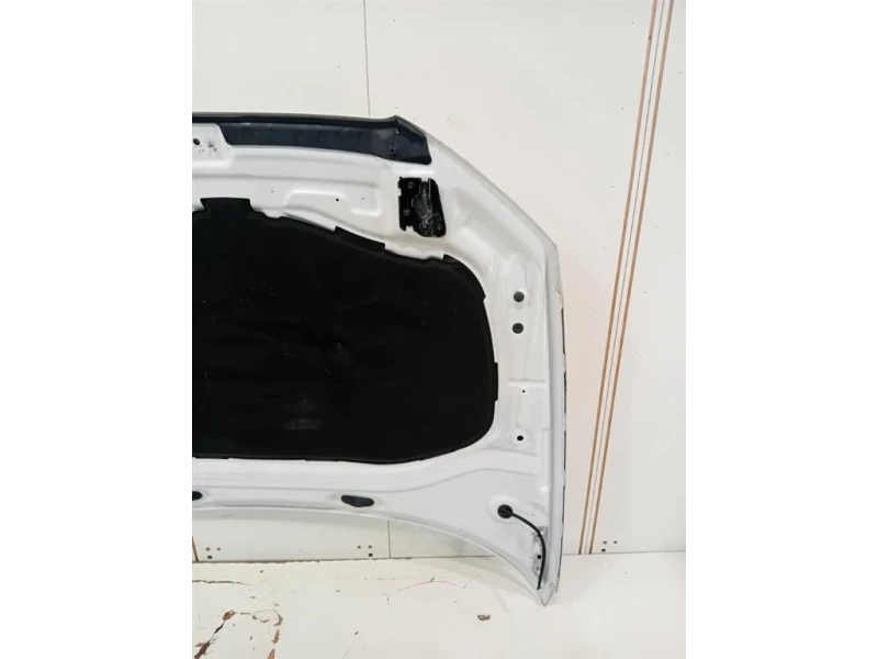 Cofano ANT 8V0823029D Audi A3 8VA Sportback 2012