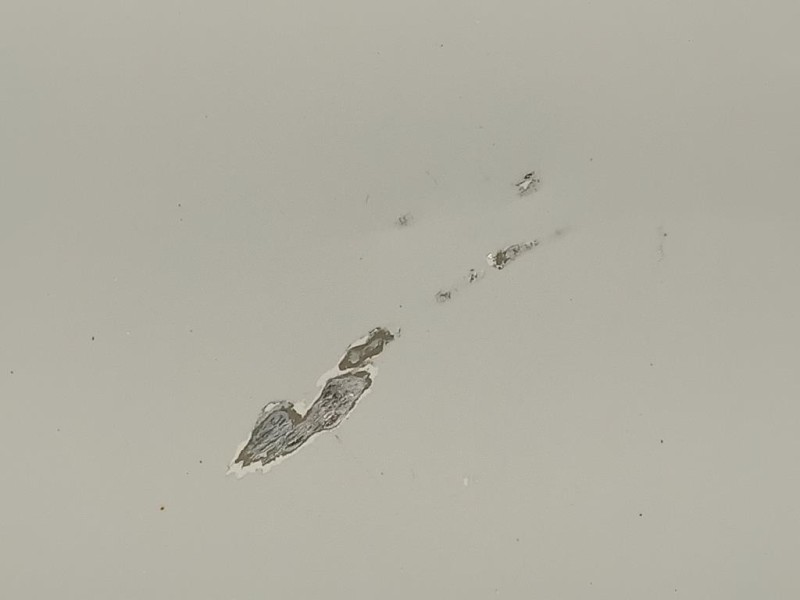 Cofano ANT 8V0823029D Audi A3 8VA Sportback 2012