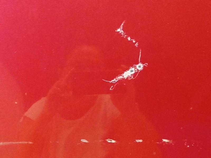 Cofano ANT 8K0823029D Audi A4 8K2 2008