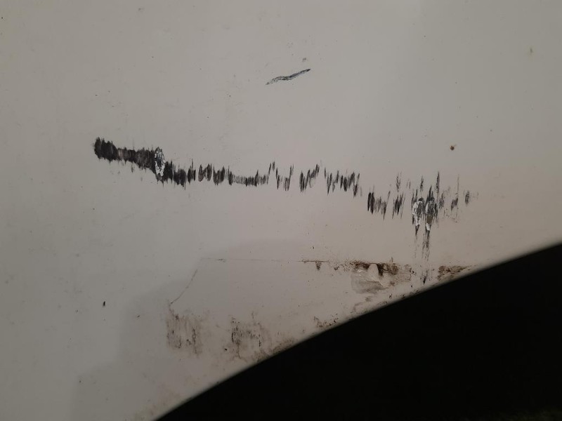 Cofano ANT 8U0010515C Audi Q3 8UB 2012