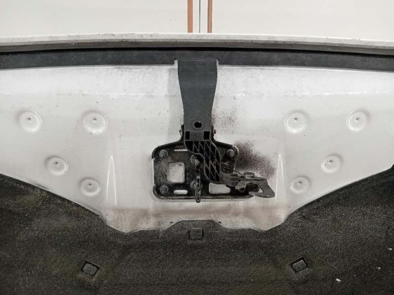 Cofano ANT 8R0823029H Audi Q5 8RB 2012