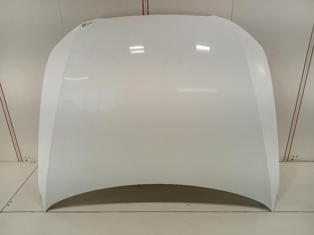 Cofano ANT 8R0823029H Audi Q5 8RB 2012