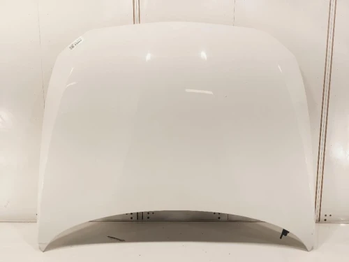 Cofano ANT 41007290942 Bmw Serie 1 F20 Berlina 2015