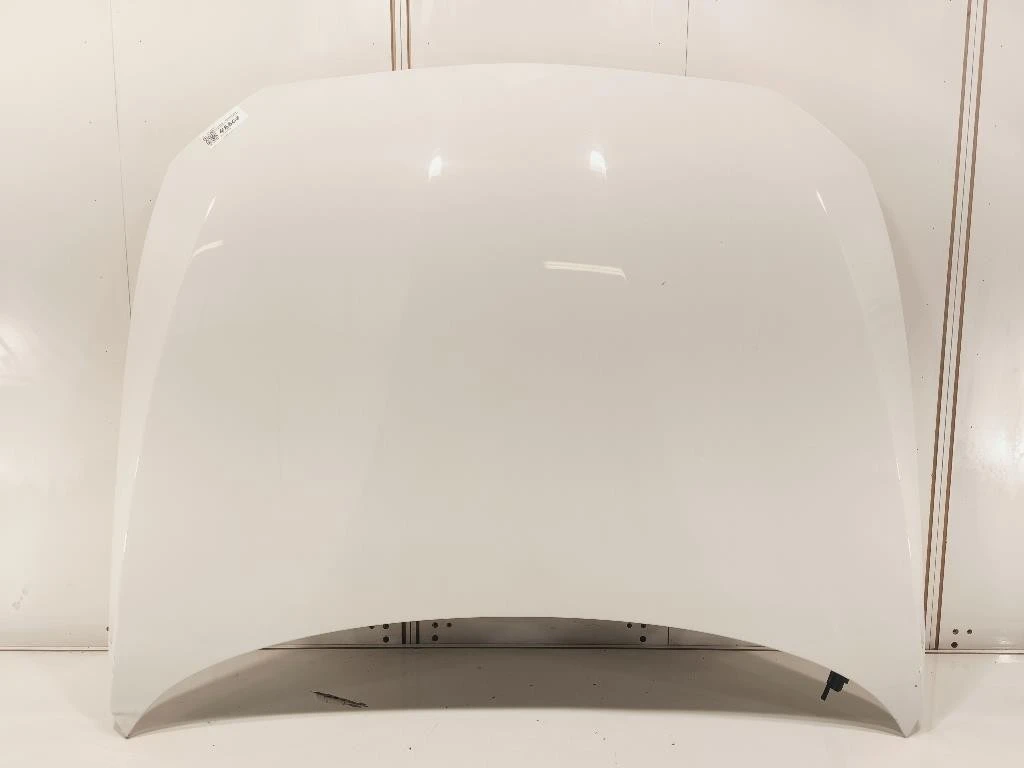 Cofano ANT 41007290942 Bmw Serie 1 F20 Berlina 2015