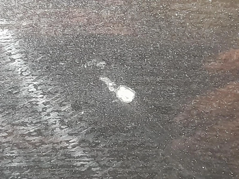 Cofano ANT E90 E91 Bmw Serie 3 E90 Berlina 2005