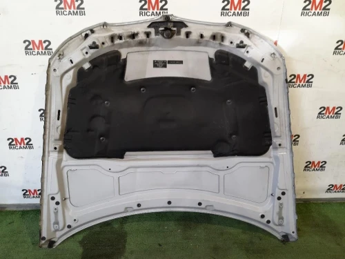 Cofano ANT 41617140729 Bmw Serie 3 E90 Berlina 2005