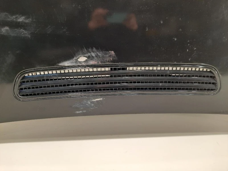 Cofano ANT 41617200442 Bmw Serie 7 E66 2003