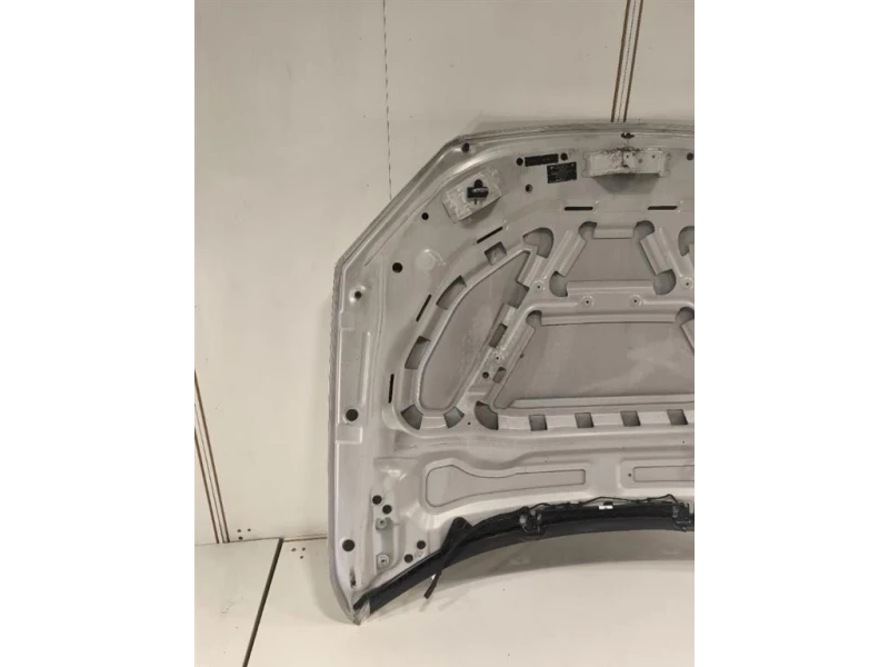 Cofano ANT 41002993151 Bmw X1 E84 2010