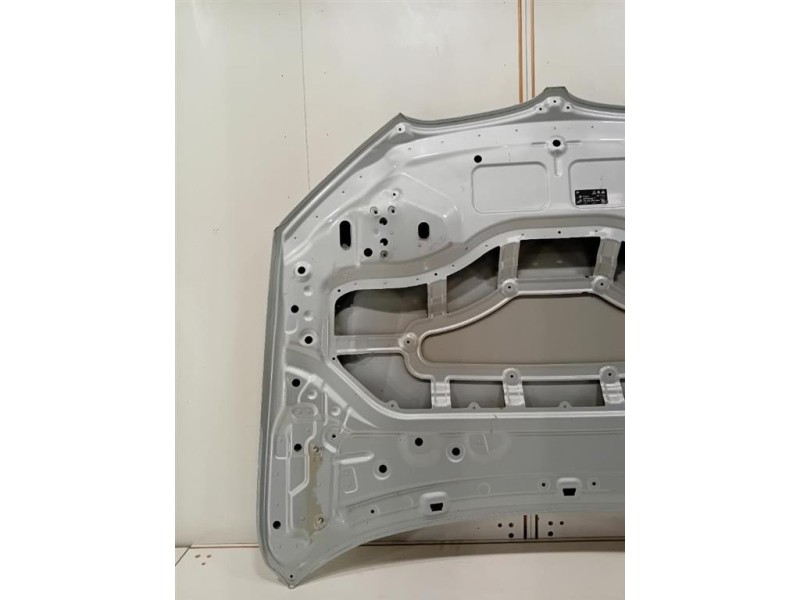 Cofano ANT 41007463772 Bmw X1 F48 2015