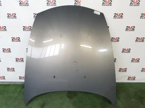 Cofano ANT 41617180228 Bmw Z4 E85 Cabrio 2003