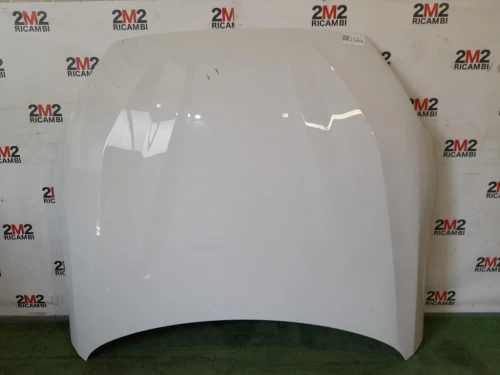 Cofano ANT Bmw Z4 E89 Cabrio 2009