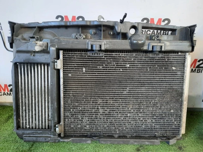 Cofano ANT MUSO ANT Citroen DS3 2010