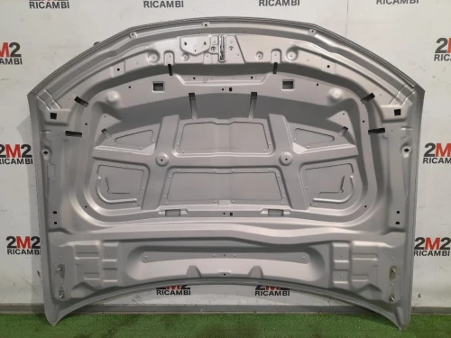 Cofano ANT ANNO 2021 Citroen DS4 I 2016