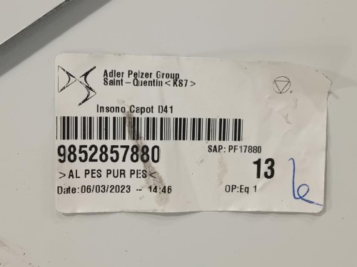 Cofano ANT 9834262380 Citroen DS4 II 2021