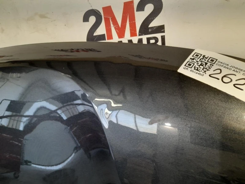 Cofano ANT 651008347R Dacia Duster II 2018
