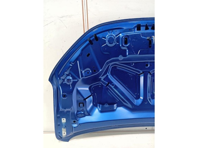 Cofano ANT 651224904R Dacia Sandero II 2013