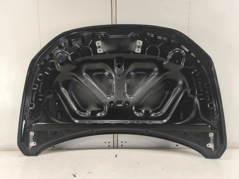 Cofano ANT 651224730R Dacia Sandero Stepway III 2020