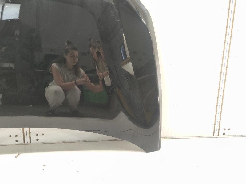 Cofano ANT 651224730R Dacia Sandero Stepway III 2020