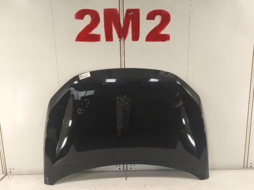 Cofano ANT 651224730R Dacia Sandero Stepway III 2020