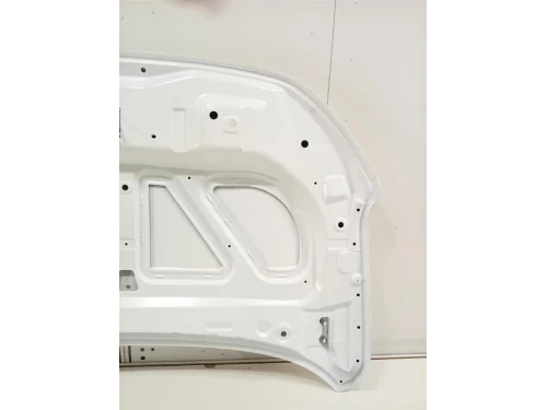 Cofano ANT COFANO ANT Dacia Spring 2020