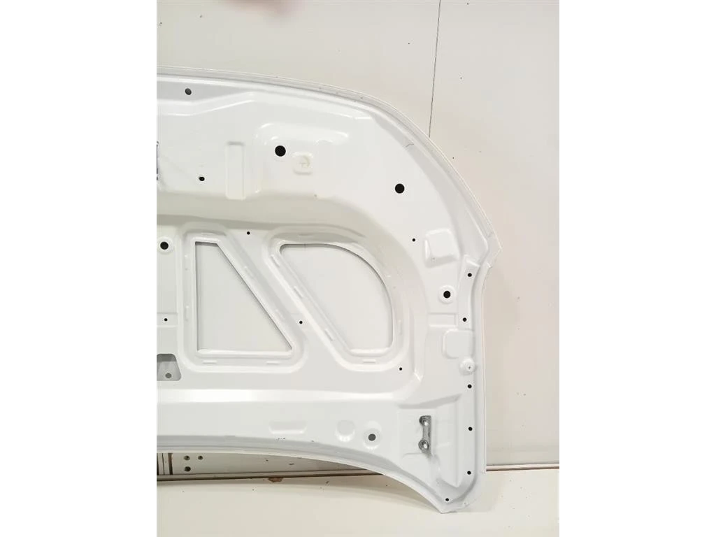 Cofano ANT COFANO ANT Dacia Spring 2020