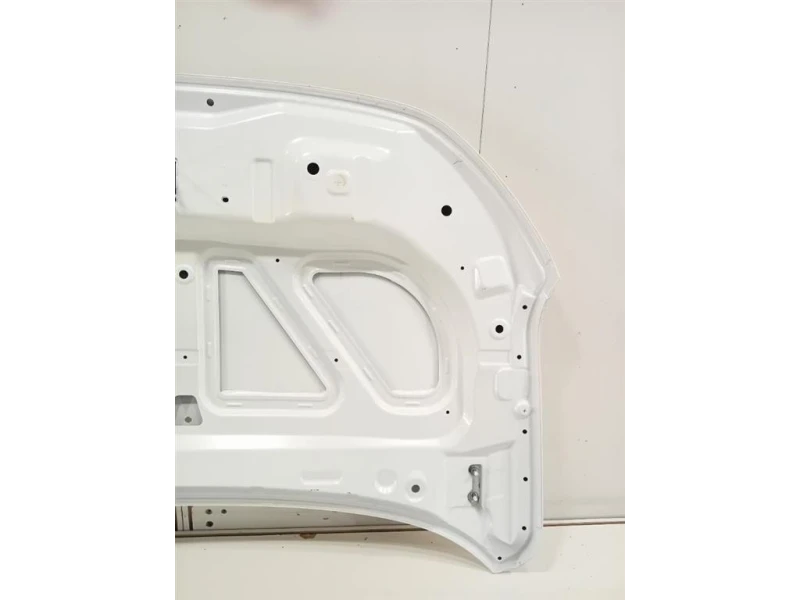 Cofano ANT COFANO ANT Dacia Spring 2020