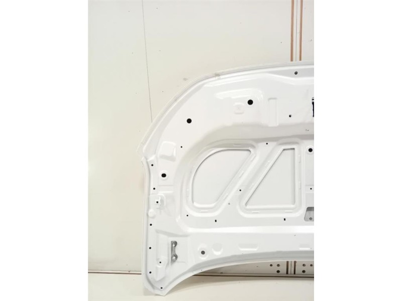 Cofano ANT COFANO ANT Dacia Spring 2020