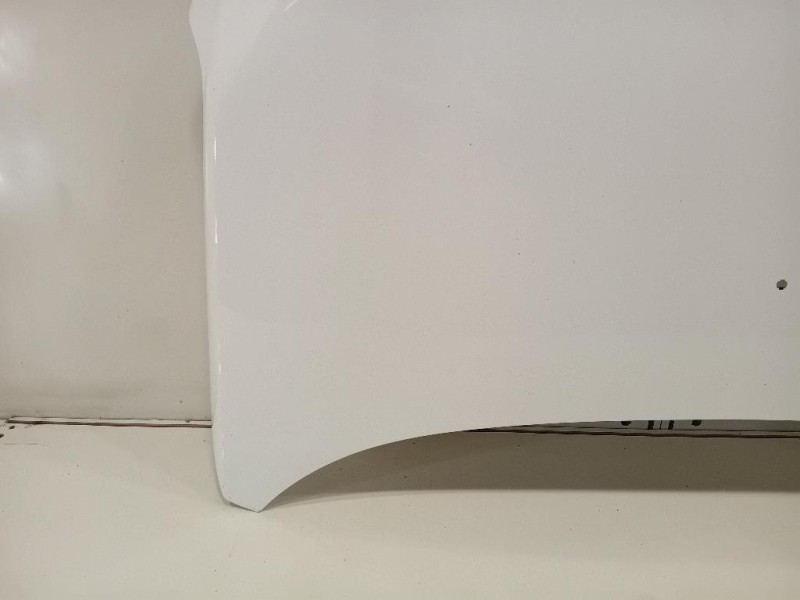 Cofano ANT COFANO ANT Dacia Spring 2020