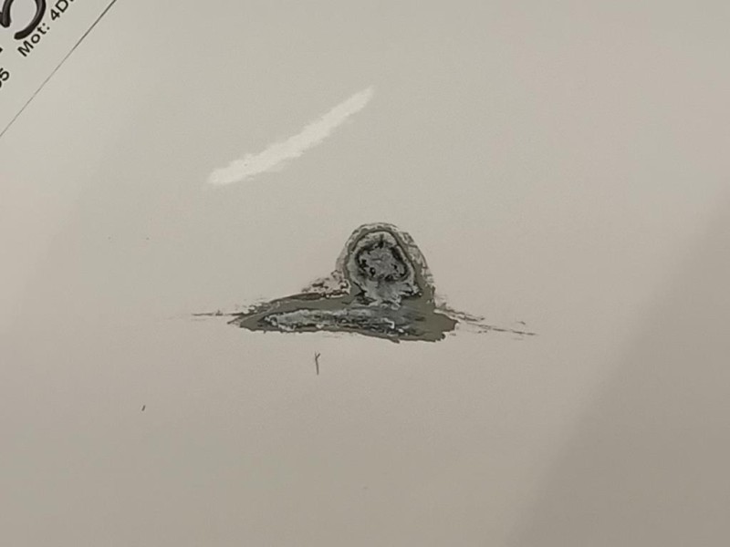 Cofano ANT COFANO ANT Dacia Spring 2020