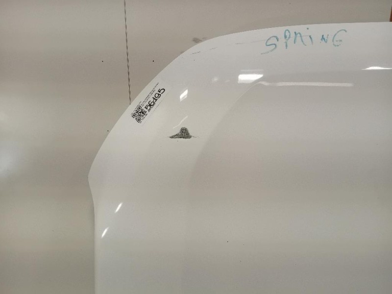 Cofano ANT COFANO ANT Dacia Spring 2020