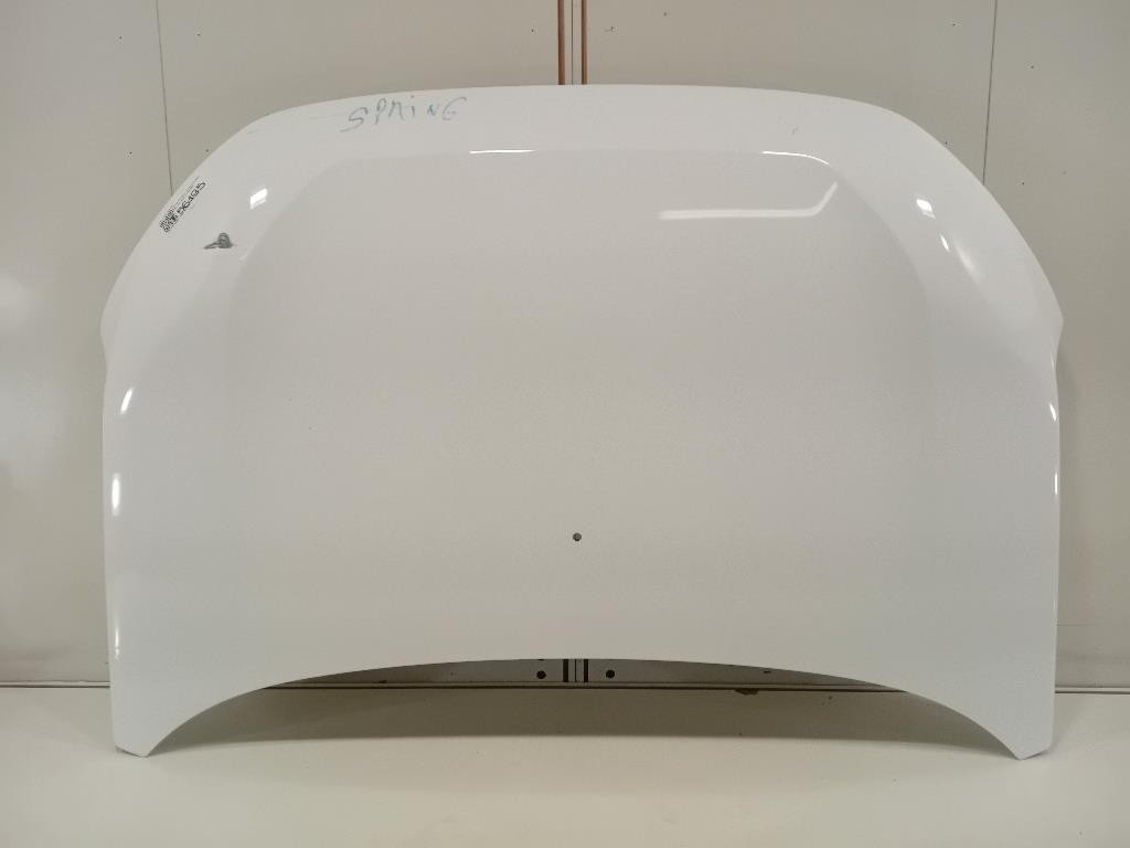 Cofano ANT COFANO ANT Dacia Spring 2020