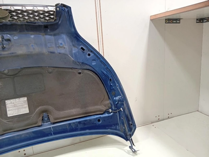 Cofano ANT 53301B4020 Daihatsu Terios II 2009