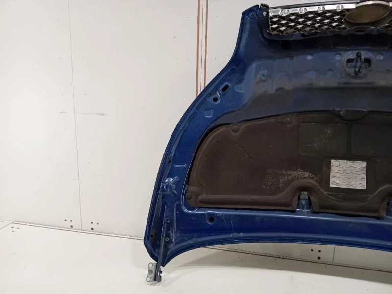 Cofano ANT 53301B4020 Daihatsu Terios II 2009